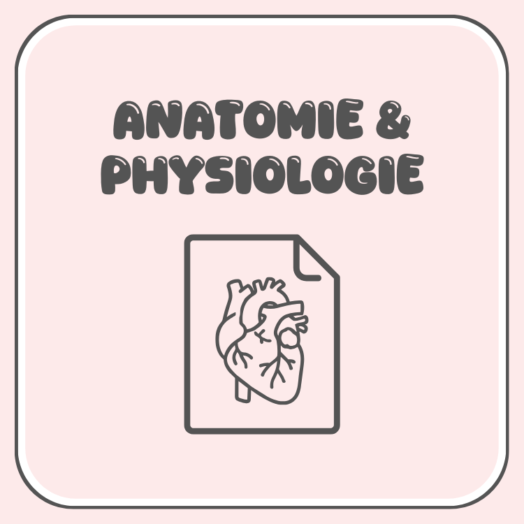 Anatomie & Physiologie