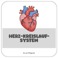 Herz-Kreislauf-System