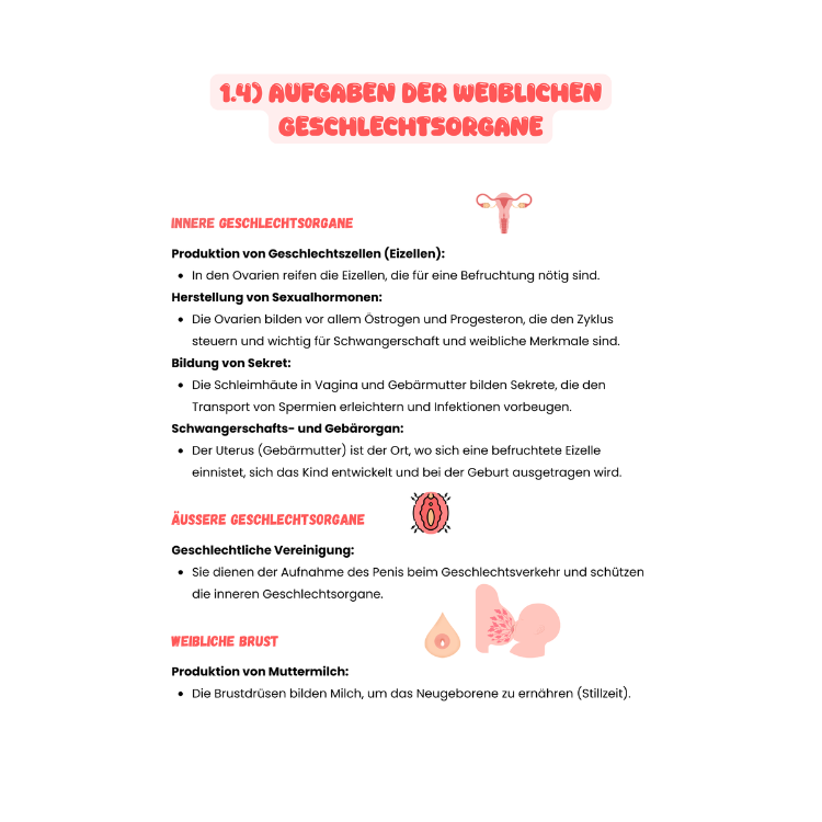 Ovarialkarzinom (Ovarial-CA)