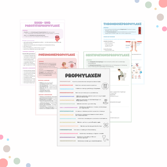 Prophylaxen Bundle – Alle 17 Prophylaxen kompakt erklärt