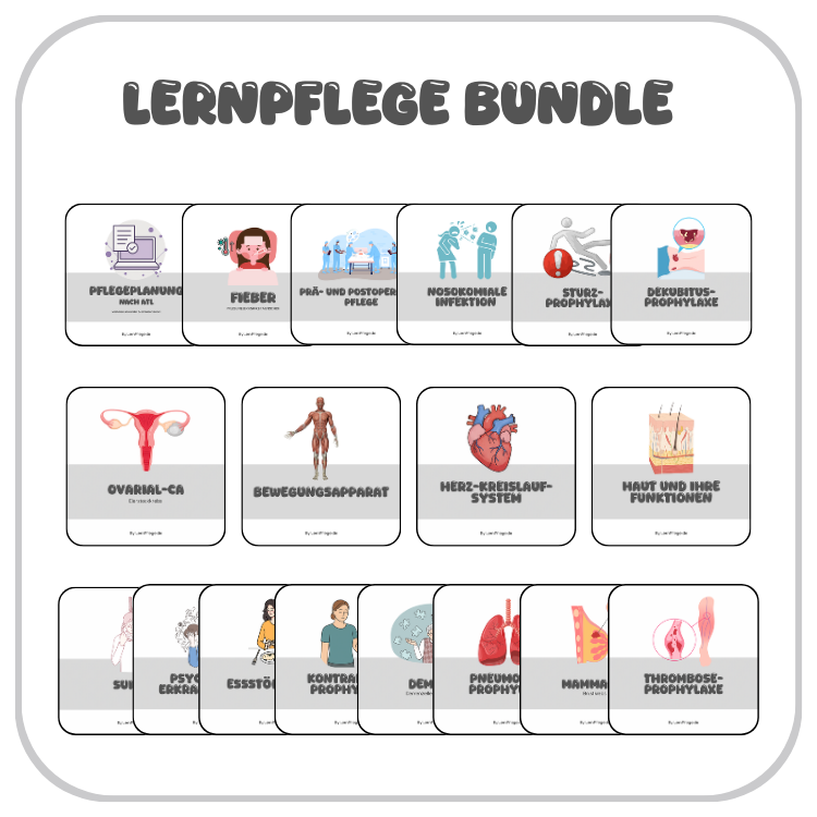 Lernpflege Bundle - Gesamtpaket